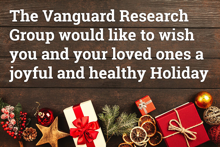 Happy Holidays 2023 from the team at The Vanguard Research Group